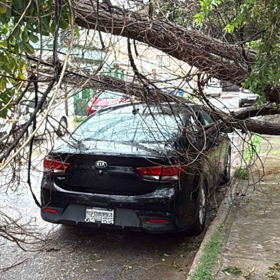 Lluvias Provocan Daños y Cierres Viales